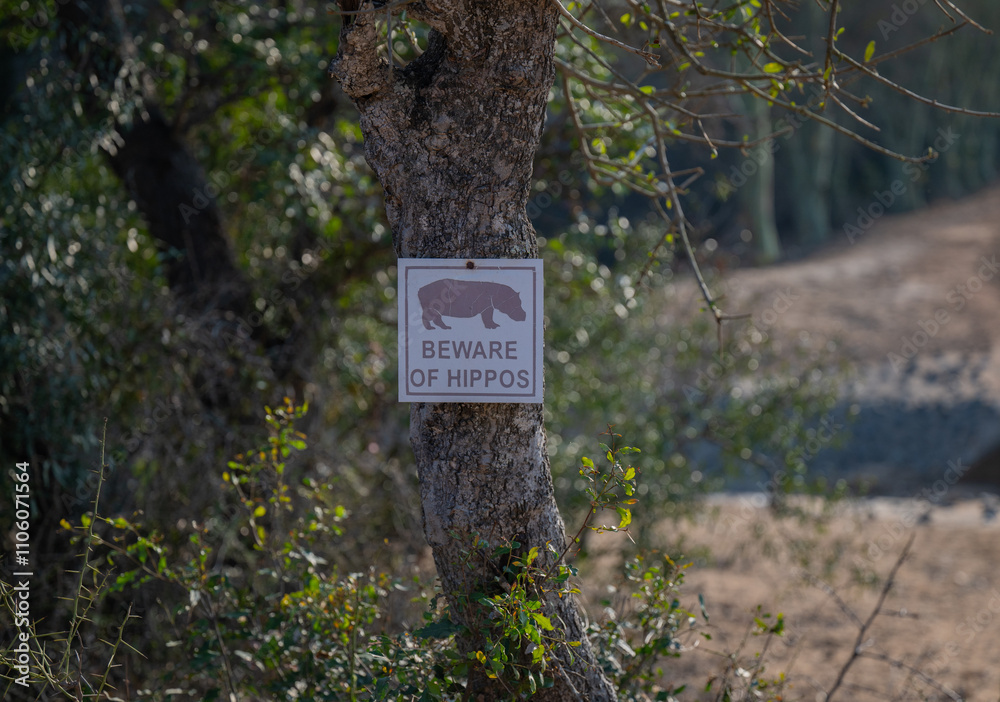 Warnschild Beware of Hippos, Vorsicht vor Flusspferde genannt Nilpferd - Hippo, im Krüger National Park - Kruger Nationalpark Südafrika