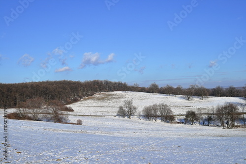 Wallpaper Mural 
A winter, snowy landscape with hills in the background. Torontodigital.ca