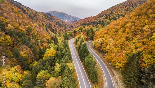 Colorful image of bright autumn forest road