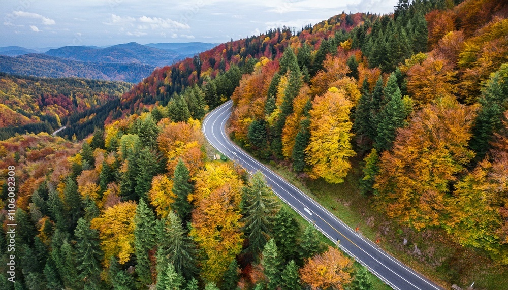 Fototapeta premium Colorful image of bright autumn forest road