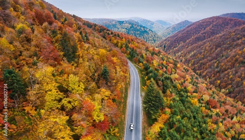 Colorful image of bright autumn forest road