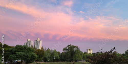 Photography Beautiful landscape with a stunning Sunset, in Boramae Park, in Seoul, Korea
