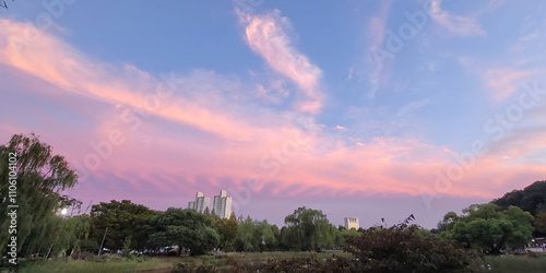Photography Beautiful landscape with a stunning Sunset, in Boramae Park, in Seoul, Korea
