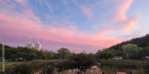 Photography Beautiful landscape with a stunning Sunset, in Boramae Park, in Seoul, Korea
