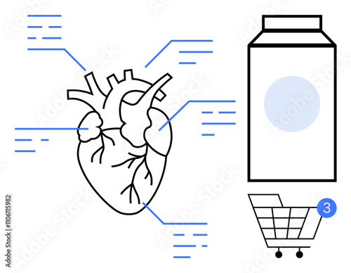 Anatomical heart with informational lines indicating connections, milk carton, and shopping cart with notification. Ideal for health, anatomy, education, nutrition, shopping, alerts and information