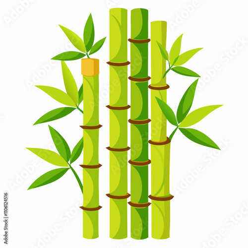 bamboo