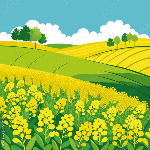 Mustard field