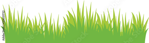 Green Grass Borders Set Isolated on White Background, Vector Illustration, flat style. green leaf. Grass illustration isolated on white background