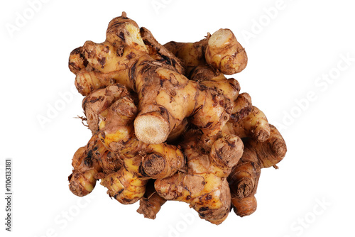 Close up of galangal root isolated transparent