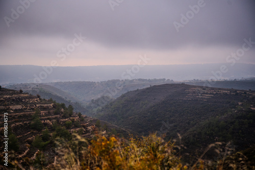 A serene landscape of rolling hills and valleys, shrouded in a soft, misty haze. A misty veil drapes over a serene landscape of rolling hills and verdant valleys.  photo