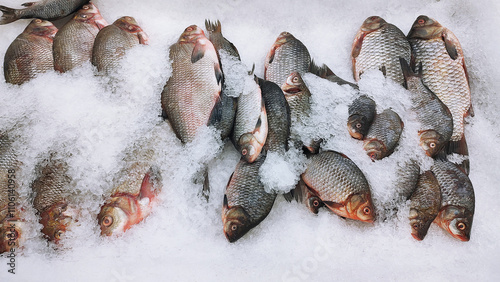 Sorts of fresh fish on ice in a food market