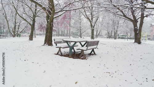 public benches covered in snow during a snowfall on the lakeside