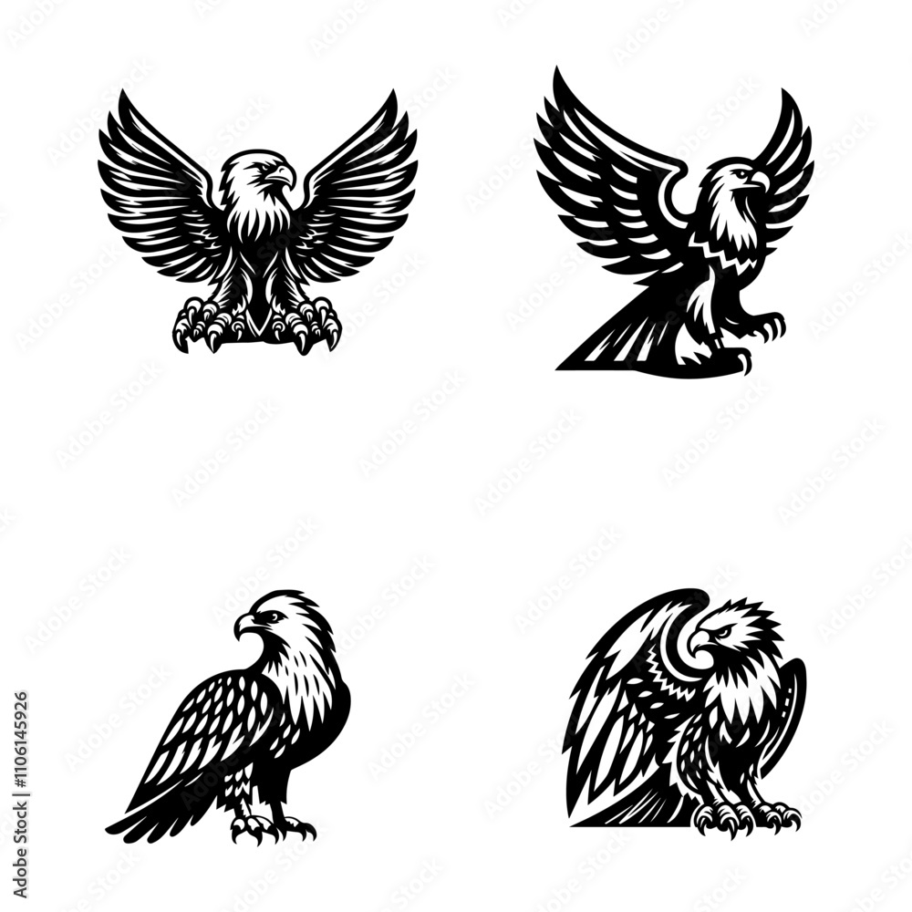 Obraz premium Borelli Eagle vector icon white background.