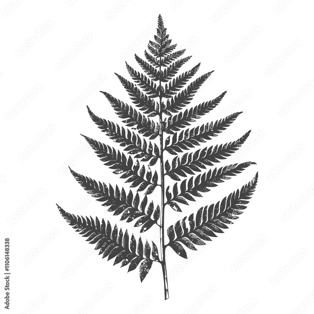 Naklejka premium Black And White Illustration Of A Single Fern Branch