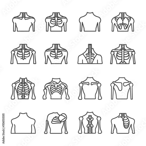 Line Art Illustrations Of Human Skeleton Upper Body Anatomy