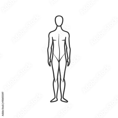 Line Drawing Of A Human Figure Standing Upright