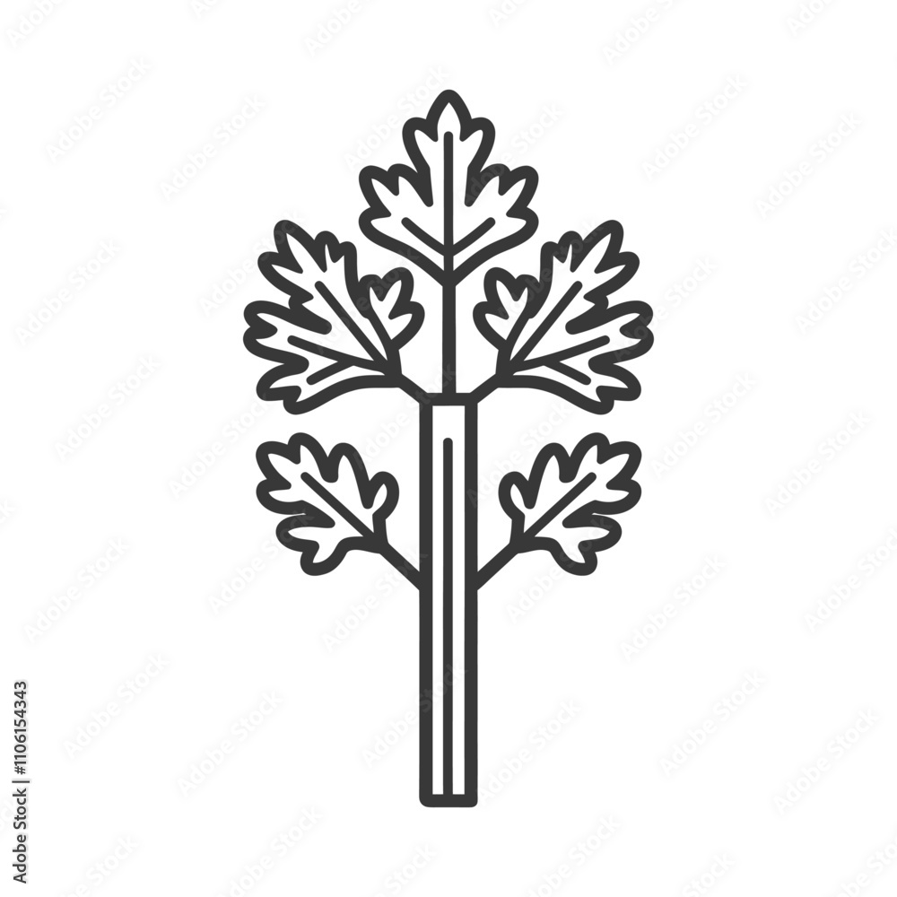 Line Drawing Of A Single Celery Stalk With Leaves Line Drawing Of A Single Celery Stalk With Leaves