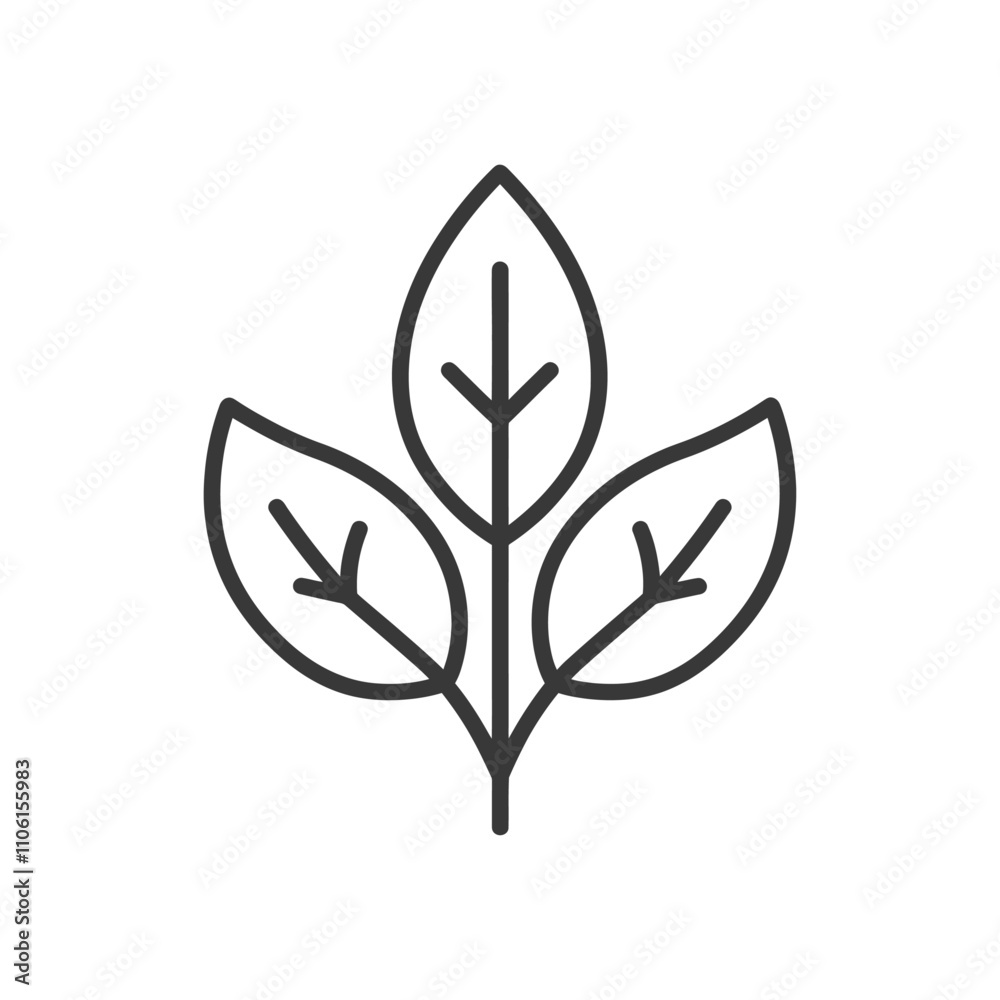 Simple Line Drawing Of Three Leaves On A Stem Simple Line Drawing Of Three Leaves On A Stem