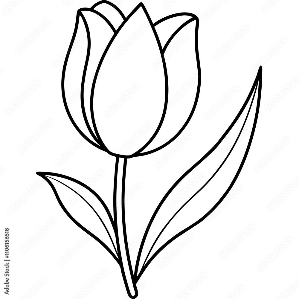 tulip line art vector