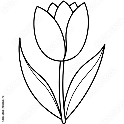 tulip line art vector