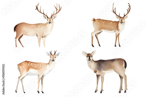 Deer with large antlers watercolor illustration isolated on white background