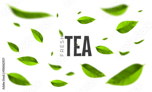 Fresh and healthy tea leaves. Flying green leaves in the air. Top view. Vector Illustration.