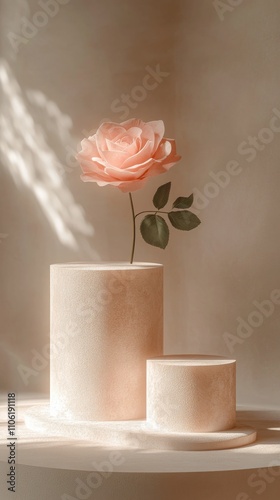 Elegant pink roses displayed on pastel pedestals under soft light in a minima...