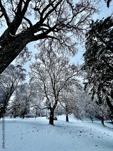 Snowy day in the park