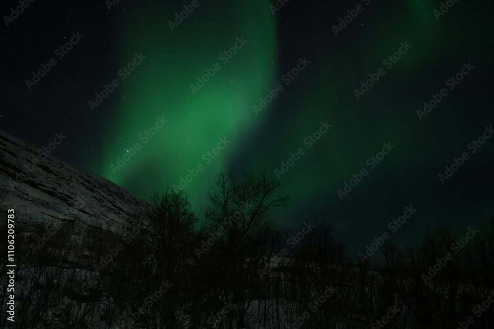 The Magic of the Northern Lights in Tromso, Norway The Magic of the Northern Lights in Tromso, Norway