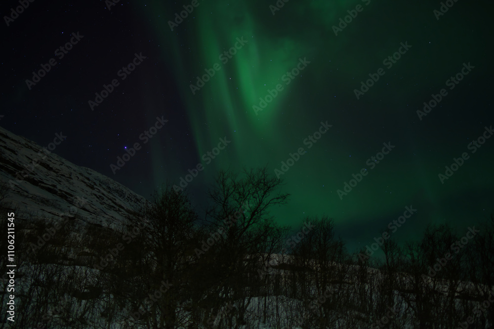 The Magic of the Northern Lights in Tromso, Norway The Magic of the Northern Lights in Tromso, Norway