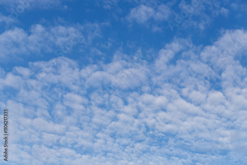 Beautiful blue sky with white Altocumulus undulatus clouds.