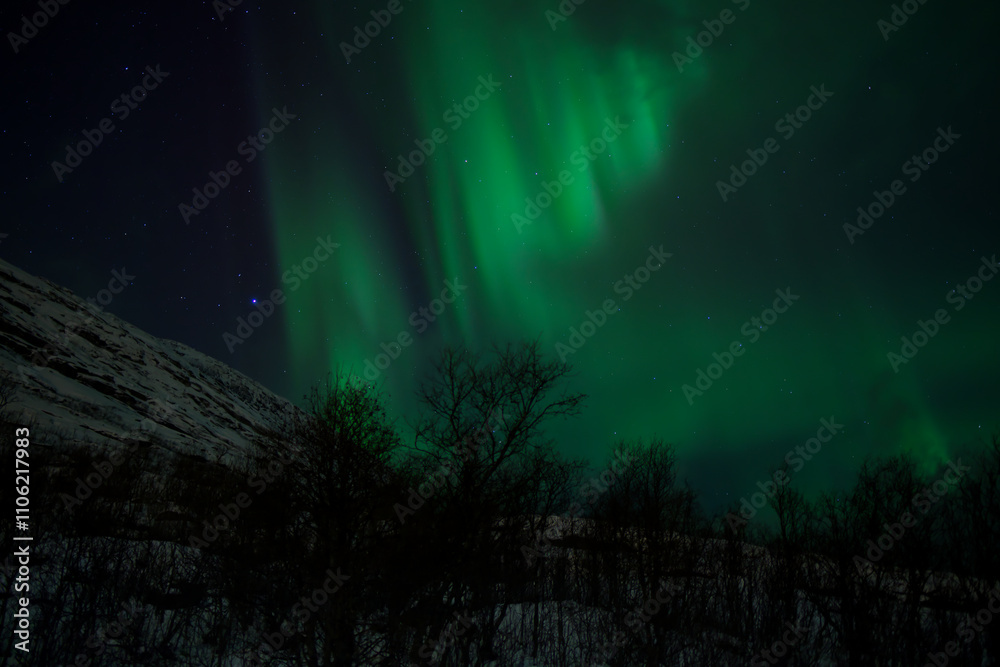 Fototapeta premium The Magic of the Northern Lights in Tromso, Norway