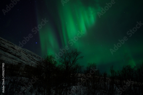 The Magic of the Northern Lights in Tromso, Norway photo