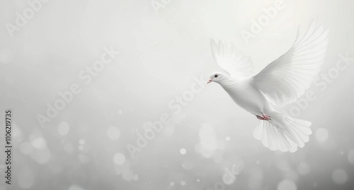 White dove soaring through a foggy sky during early morning light