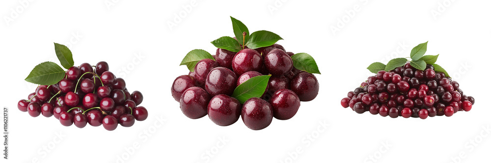 Set of A Pile of fresh cherries with leaves isolated on Transparent PNG format Background. Set of A Pile of fresh cherries with leaves isolated on Transparent PNG format Background.
