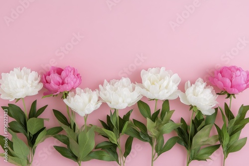 Beautiful bouquet of pink and white peonies arranged on a pink background
