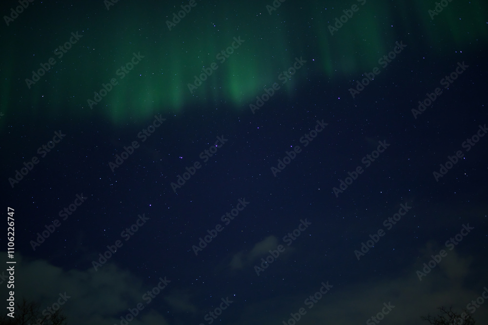 Fototapeta premium The Magic of the Northern Lights in Tromso, Norway