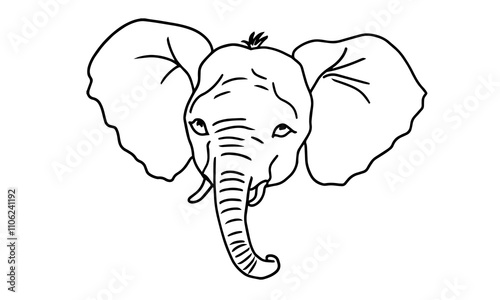 elephant face illustration, wild animals