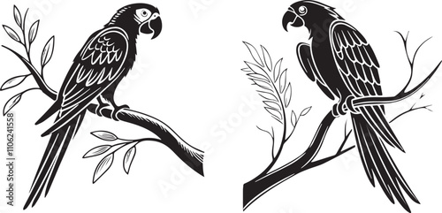 set of birds