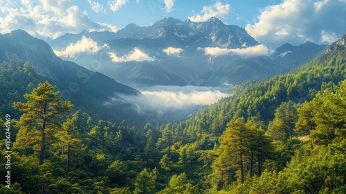 Scenic Mountain Range Framed by Lush Green Trees and Clouds