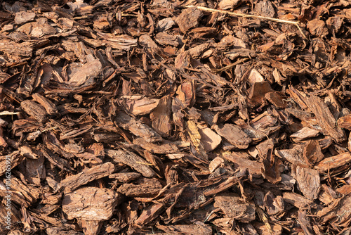 Natural Wood Mulch Texture. A detailed close-up of natural wood mulch, ideal for landscaping, gardening, or agricultural concepts.