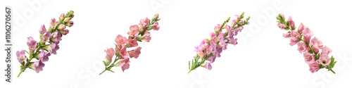  Delicate Pink and Purple Flower Sprigs with Lush Green Leaves on  transparent background