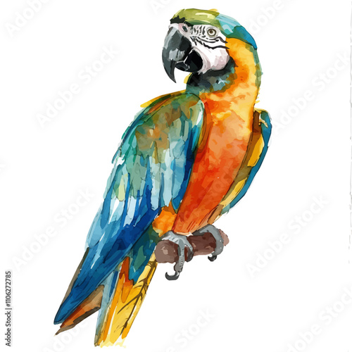 A watercolor of a Macaw, isolated on a white background. Macaw vector.