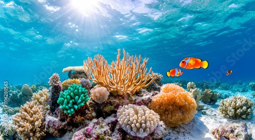 Wallpaper Mural A stunning underwater coral reef teeming with exotic sea life, showcasing vibrant, tropical colors, embodying the concept of diving and biodiversity in HD. Torontodigital.ca