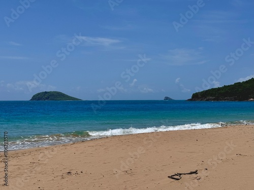 view of a deserted sandy beach in the French West Indies in Guadeloupe
 photo