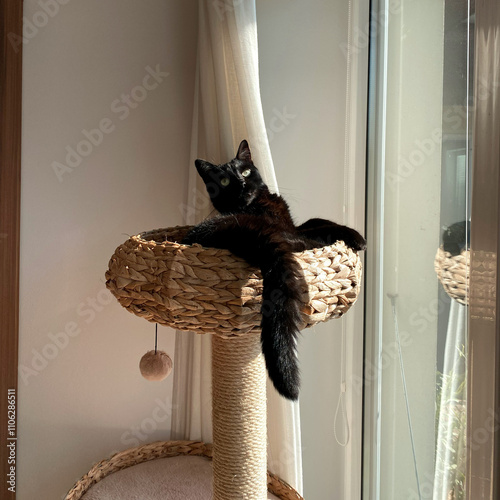 A sleek black cat lounges gracefully on the top tier of a woven scratching post, basking in warm sunlight near a large window. A serene and cozy moment of feline relaxation