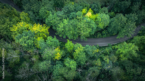 Aerial view of road hidden in green leafy forest, east sussex, UK.