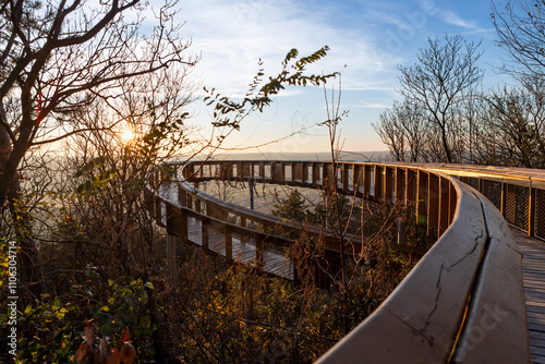 Canopy walkway during sunset, Hungary, Pannonhalma