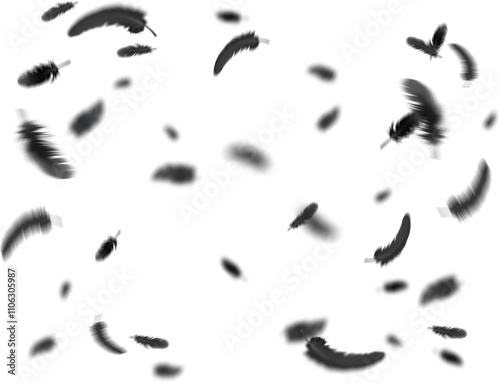Black Feathers in Motion in the air photo overlays