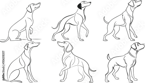 set of dogs line art vector, illustration